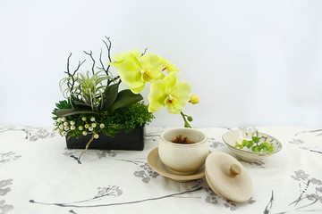 綠蝴蝶蘭空氣鳳梨香氛花藝 / 擬真花 / 禮物 / 桌花 / 永不凋零