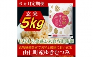 JJ19　北海道由仁町産　松原米穀　令和４年度産ゆきむつみ（5kg×6回）