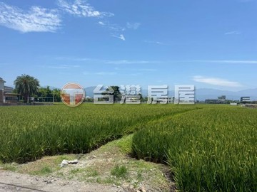 三星大洲魚寮旁大面寬美農地 近羅運 大洲市集｜宜蘭縣三星鄉大洲二段