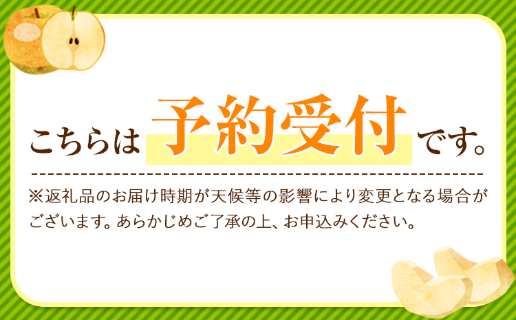 梨 幸水 豊水 くまもと梨 先行 果物 秋 旬 フルーツ ナシ なし 先行予約 送料無料 訳あり SDGs あきづき 甘太 新高 新興 約4.5kg-5kg 8玉～22玉前後 熊本県産 果物 《8月下旬‐11月中旬頃より順次発送》旬 果物 フルーツ お取り寄せ---fn_cngsnasir_h811_24_12000_5kg---