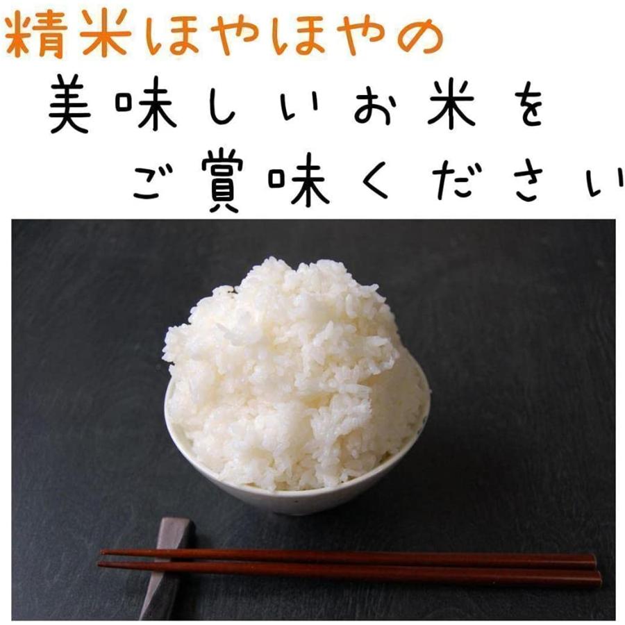 新米　産地直送！令和5年産 埼玉県産 コシヒカリ 玄米 5kg 未検査米 おいしいお米