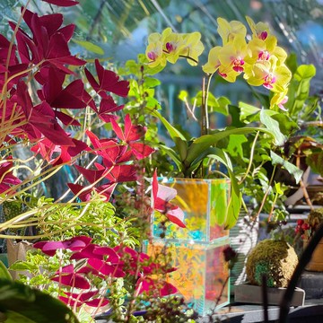 鏡映花盒 上下雙孔設計 讓配角也發光發亮 換個角度看事物