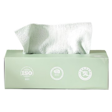 WE CHAMP 抽取式抹布 多功能 超細纖維 不易掉毛 吸水去油  20 x 20cm  1盒