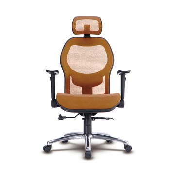 邏爵 特級雙網超NICE工學頭枕全網椅/辦公椅/電腦椅T85CS橘