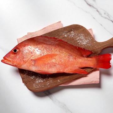 台灣紅雞母紅魚 去刺急凍海鮮