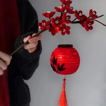 懶貓💖 創意扭扭棒國風梅花燈籠手作diy材料包實用禮品情人節禮物送女生 新年禮物 交換禮物