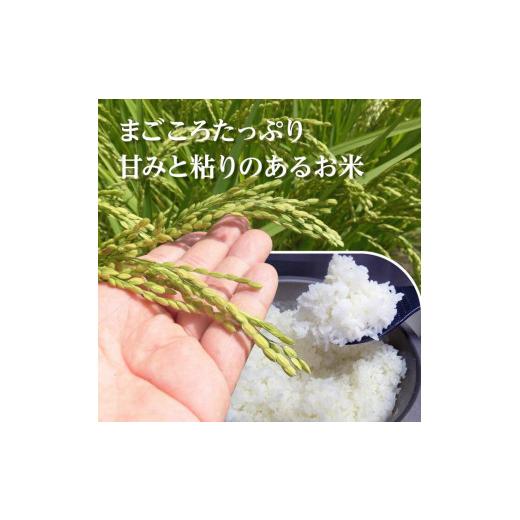 ふるさと納税 茨城県 行方市 L-15 令和5年産アイガモと一緒に育てたお米「愛鴨米・白米」3kg×6回