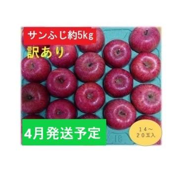 ふるさと納税 4月発送CA貯蔵  家庭用 百年木の香 サンふじ 約5kg 有機肥料100％ 青森県弘前市