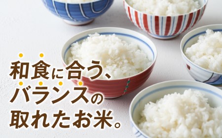  田村産 ひとめぼれ 白米 20kg 5kg × 4袋 お米 福島県 田村市 田村 贈答 美味しい 米 kome コメご飯 特Aランク フードロス SDGs 一等米 単一米 精米 国産 おすすめ お中元 送料無料 緊急支援品 生活応援 コロナ支援 ふぁせるたむら