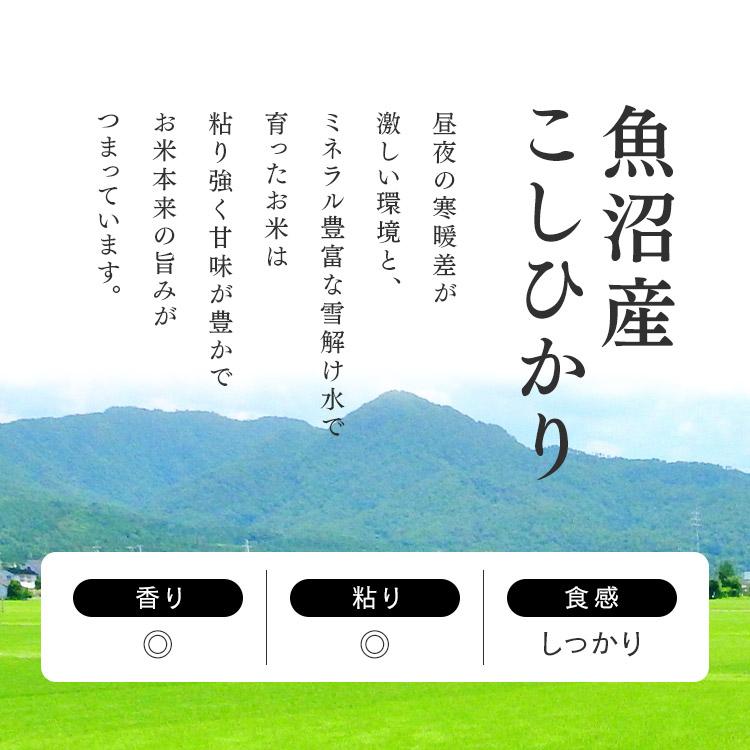 レトルトご飯 パックご飯 ごはん パック ごはんパック レンジ コシヒカリ 魚沼産 こしひかり 150g×3食パック アイリスフーズ