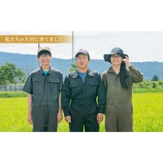 ふるさと納税 北海道 美唄市 玄米（10kg）伊藤農園の特別栽培米ゆめぴりか 