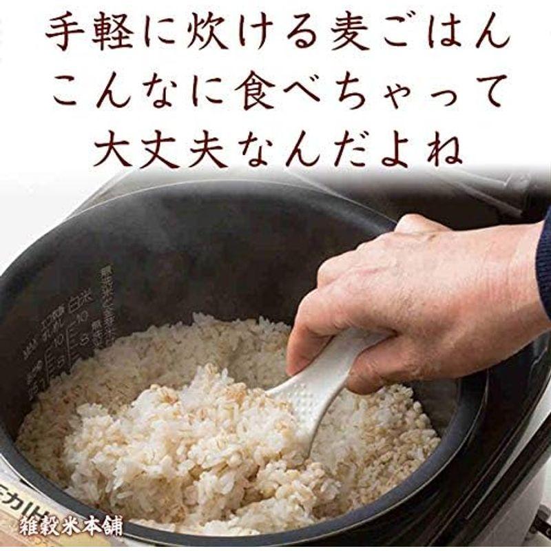 雑穀米本舗 丸麦 3kg(500g×6袋)