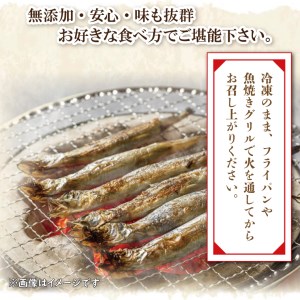  子持ち カラフトシシャモ ２kg (500g×4袋) 訳アリ シシャモ ししゃも カラフトししゃも 大洗 規格外 訳あり わけあり 傷_AV010