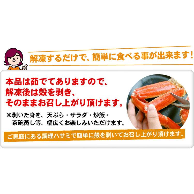 ズワイガニ足　大量3キロ （約8-13肩入り） 本ズワイガニ脚 ずわい蟹 北海道 お取り寄せグルメ 送料無料（沖縄宛は別途送料を加算）