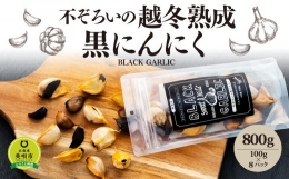 不ぞろいの越冬熟成黒にんにく８００ｇ（100ｇ×８パック）