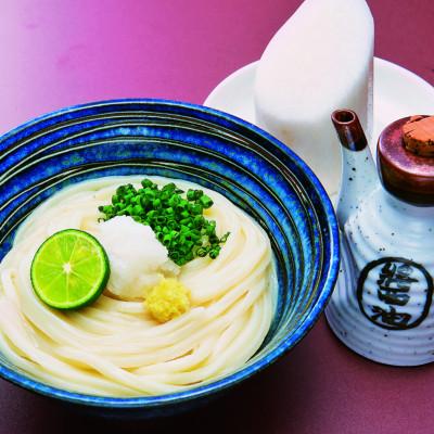 ふるさと納税 東かがわ市 打ち立て!讃岐本生うどん「純生」6人前(だし・ネギ・生姜付)