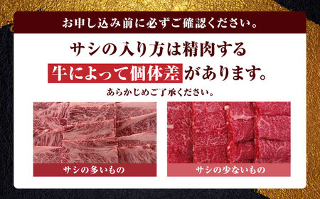 あか牛焼肉用肩ロース 500g 熊本県産あか牛 やきにく 肩ロース あか牛焼き肉 贅沢あか牛 熊本 赤牛 褐牛 あかうし 褐毛和種 肥後 冷凍 国産 牛肉[YAD012]