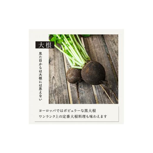 ふるさと納税 埼玉県 伊奈町 有機農家の採れたて季節野菜のセット