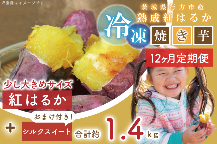 EY-22　茨城県行方市産熟成紅はるか少し大きめサイズ冷凍焼き芋約1.2キロ！おまけ付‼合計約1.4キロ!!!