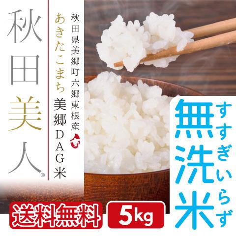 無洗米 5kg お米 あきたこまち 送料無料 秋田県産 一等米 秋田美人 令和３年産 うるち米 精白米 ごはん