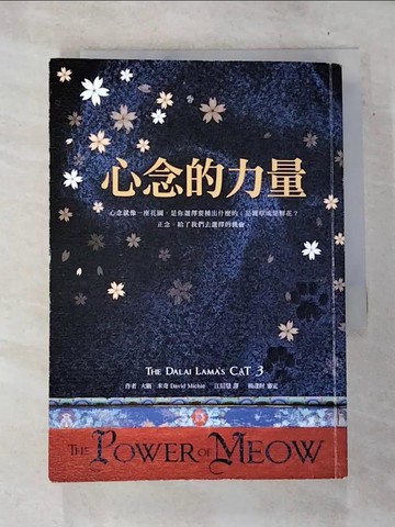 【書寶二手書T7／翻譯小說_BTD】心念的力量_大衛．米奇（David Michie）