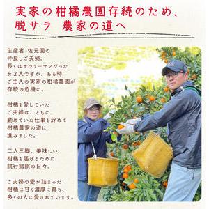 ふるさと納税 DI6029n_和歌山県有田産 八朔 5kg 秀品 (M〜2Lサイズおまかせ) 和歌山県湯浅町