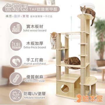 【貓本屋】台灣製 雙橢圓太空艙加大貓屋實木貓跳台
