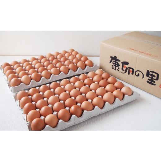 ふるさと納税 宮崎県 えびの市 えびのの大自然で育ったこだわりタマゴ 康卵 90個 たまご 鶏卵