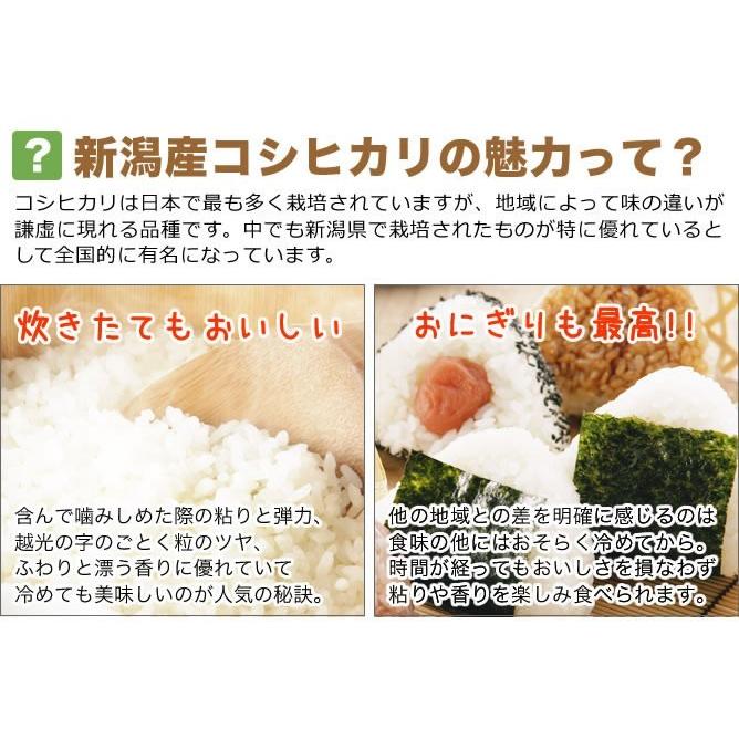 新米 お米 5kg 新潟産コシヒカリ 山並 令和5年産 送料無料 （北海道、九州、沖縄除く）