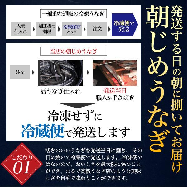 国産 うなぎ 朝じめうなぎ 2尾セット 200〜250g 国産 愛知 超特大サイズ 冷蔵便発送 かば焼き 蒲焼 白焼き 鰻 ウナギ しんこ 新仔 お歳暮