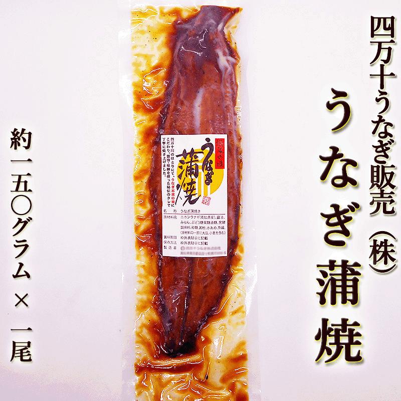 うなぎ蒲焼き 四万十うなぎ（株） 約150g 特大一尾まるごと 高知産 うなぎ ウナギ 鰻 蒲焼き 国産 四万十川 土用丑の日 敬老の日 ギフト お歳暮 お中元