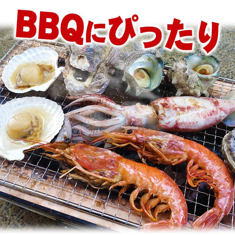 海鮮BBQ 有頭赤エビ×10尾 ＆ ホタテ片貝10個セット送料無料 バーベキュー 海鮮バーベキュー 海老と帆立貝のBBQセット 冷凍