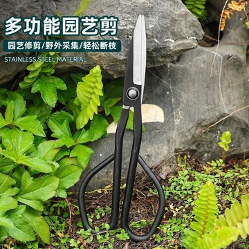 免運費⭐老式手工修枝剪蘭花剪全園藝剪葉芽剪嫩芽剪插花盆景枝葉剪小枝剪
