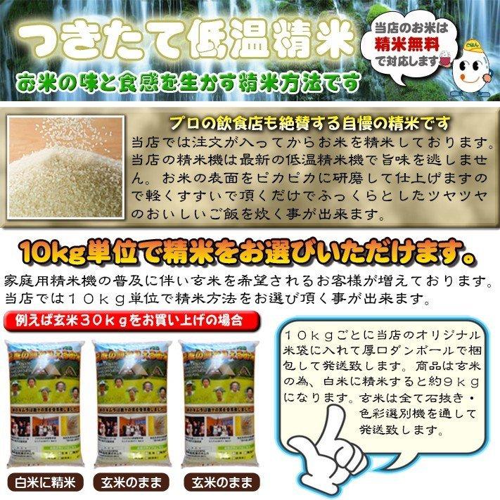 令和５年産新米 新潟県南魚沼しおざわ産プレミアム コシヒカリ 「極み」 玄米30kg 送料無料