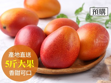 產地嚴選愛文芒果(大果)