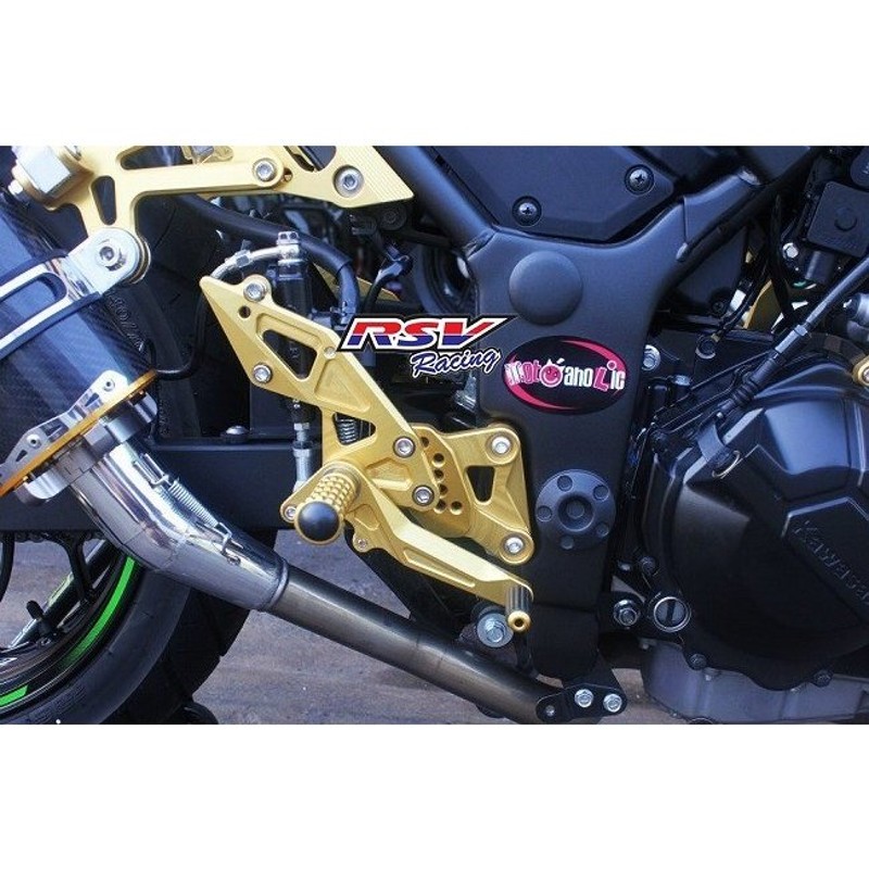 RSV racing RSV racing:アールエスブイレーシング バックステップ 可変タイプ NINJA250-13/NINJA300用  カラー：black Ninja250-13 Ninja300 2013-2016 通販 LINEポイント最大0.5%GET | LINEショッピング