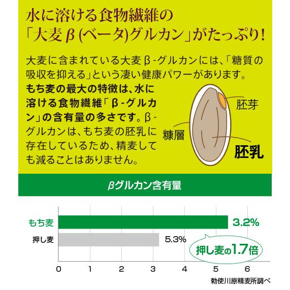 食物繊維 β(ベータ)グルカン 国産もち麦「もち絹香（もちきぬか）」(100g×14袋入)2袋セット 勅使川原精麦所