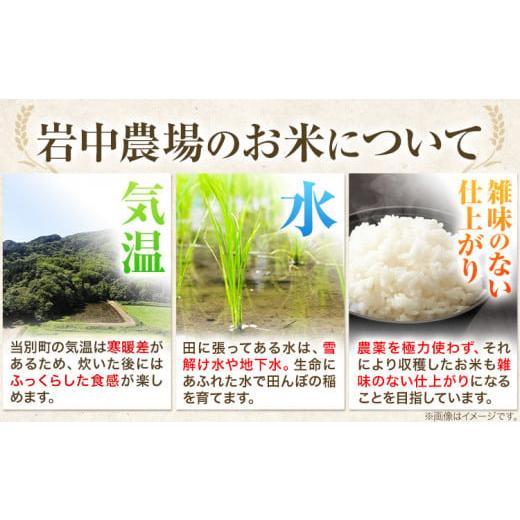 ふるさと納税 北海道 当別町 [1.2-47]　玄米ななつぼし11kg