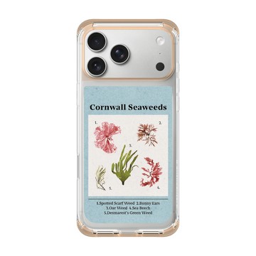 iPhone 17 Pro Max ClearX 暖透橘 - The Seaweed Studio - 康沃爾・海藻海報