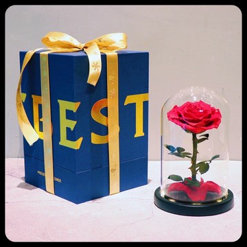 ❤️母親節禮物❤️永生花玻璃罩 母親節 母親節永生花 母親節花 母親節花束 母親節禮物