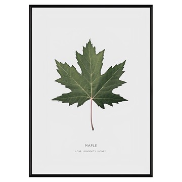 秋高氣爽 楓葉裝飾畫  50 x 70cm  黑色