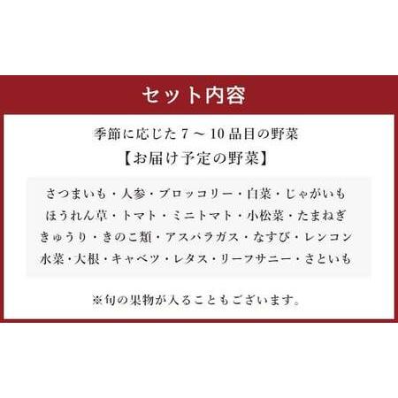 ふるさと納税 生産者応援 採れたて新鮮 旬のお野菜 詰め合わせセット 熊本県西原村