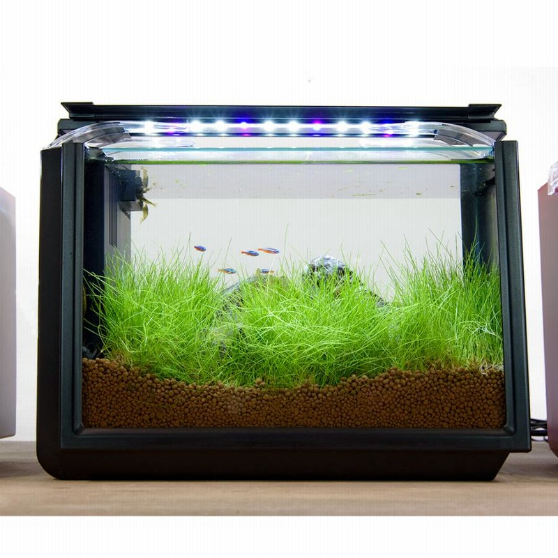 コトブキ LED1200 2本セット 観葉植物 水槽 熱帯魚