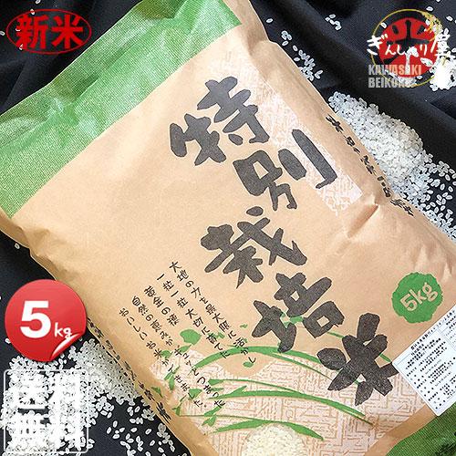 新米 米 5kg お米 ななつぼし 北海道産 特別栽培米 白米 令和5年産 送料無料