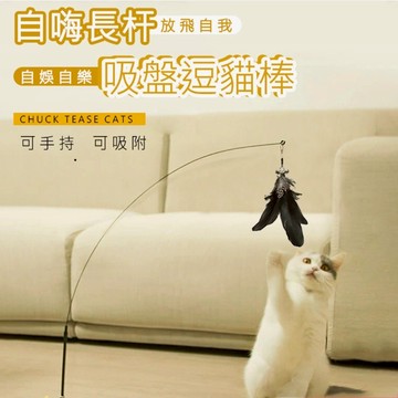 🌈PEt✨羽毛逗貓棒 可替換頭 可拆卸 貓咪自嗨玩具 彈力鋼絲 堅固耐玩 超強吸附 逗貓棒吸盤彈力
