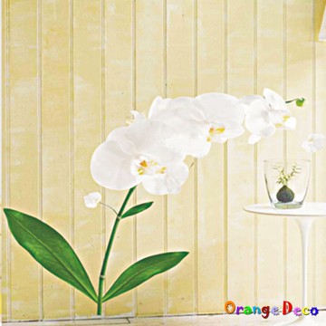 【橘果設計】0 壁貼 牆貼 壁紙 DIY組合裝飾佈置