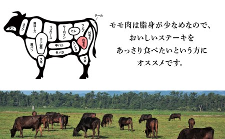 北海道 白老産 黒毛和牛 特上 モモ 焼肉 500ｇ (2・3人前)