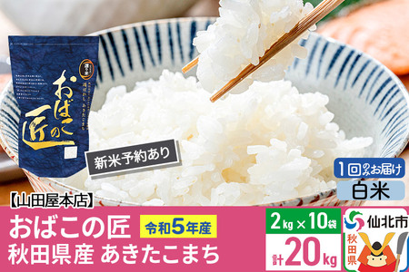 令和5年産 仙北市産 新米予約 おばこの匠 20kg（2kg×10袋）秋田県産あきたこまち 秋田こまち