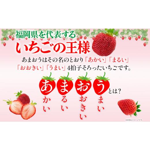 ふるさと納税 福岡県 田川市 ごほうびいちご （約250g×4パック ） ＜2024年1月以降順次発送予定＞ いちご 苺 高品質 完熟 フルーツ 果物 お取り寄せ ご当地グ…