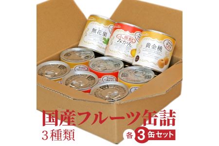 国産フルーツ缶詰 3種類各3缶セット_M08-0002